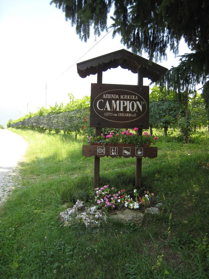 Azienda Agricola Campion Вальдобб'ядене Екстер'єр фото